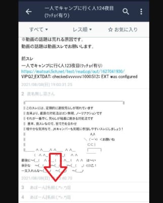 5ch ワッチョイの隠し方 メリットとデメリット 5ちゃんねるブログ バルス東京