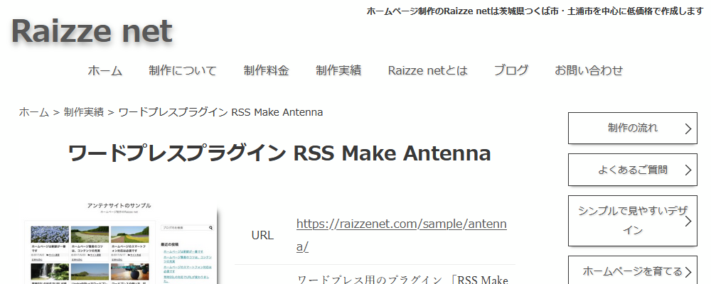 Raizze net